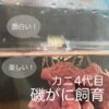 磯がに飼育は面白い！毎日が楽しくてしょうがない！